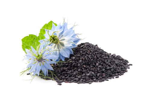 What is Black seed
